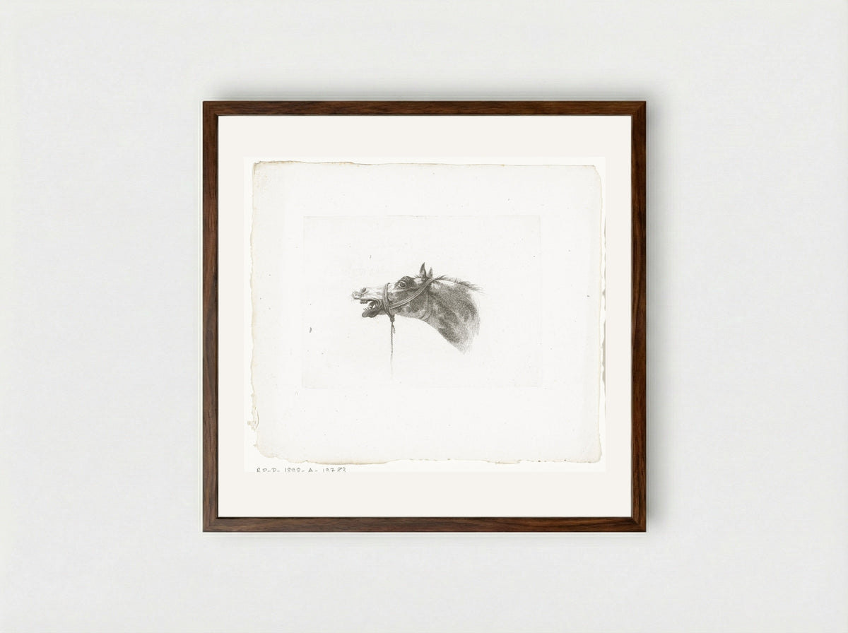 Paardenhoofd met open bek, naar links - Joannes Bemme - Framed Print Dark Wood
