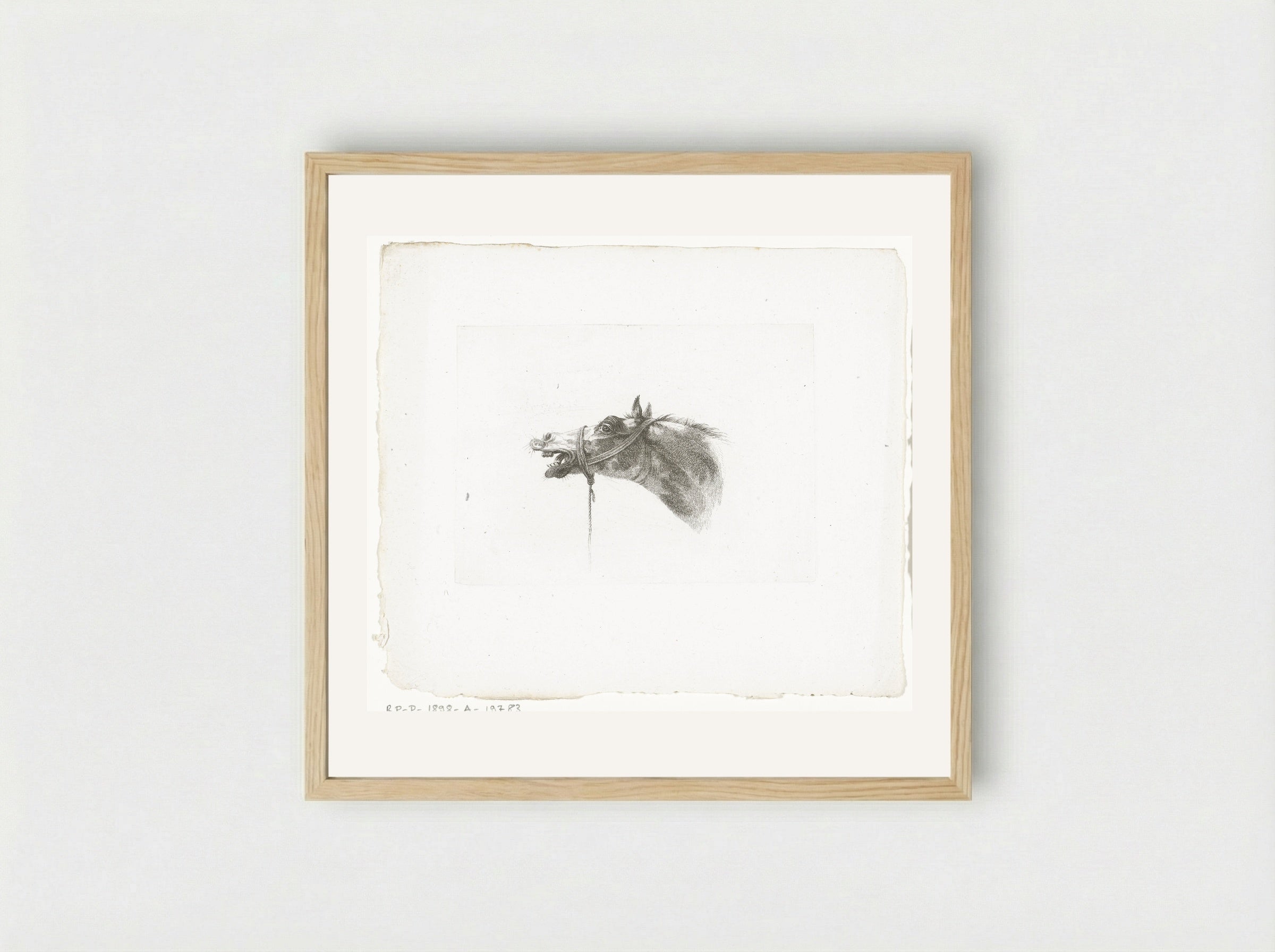 Paardenhoofd met open bek, naar links - Joannes Bemme - Framed Print Wood