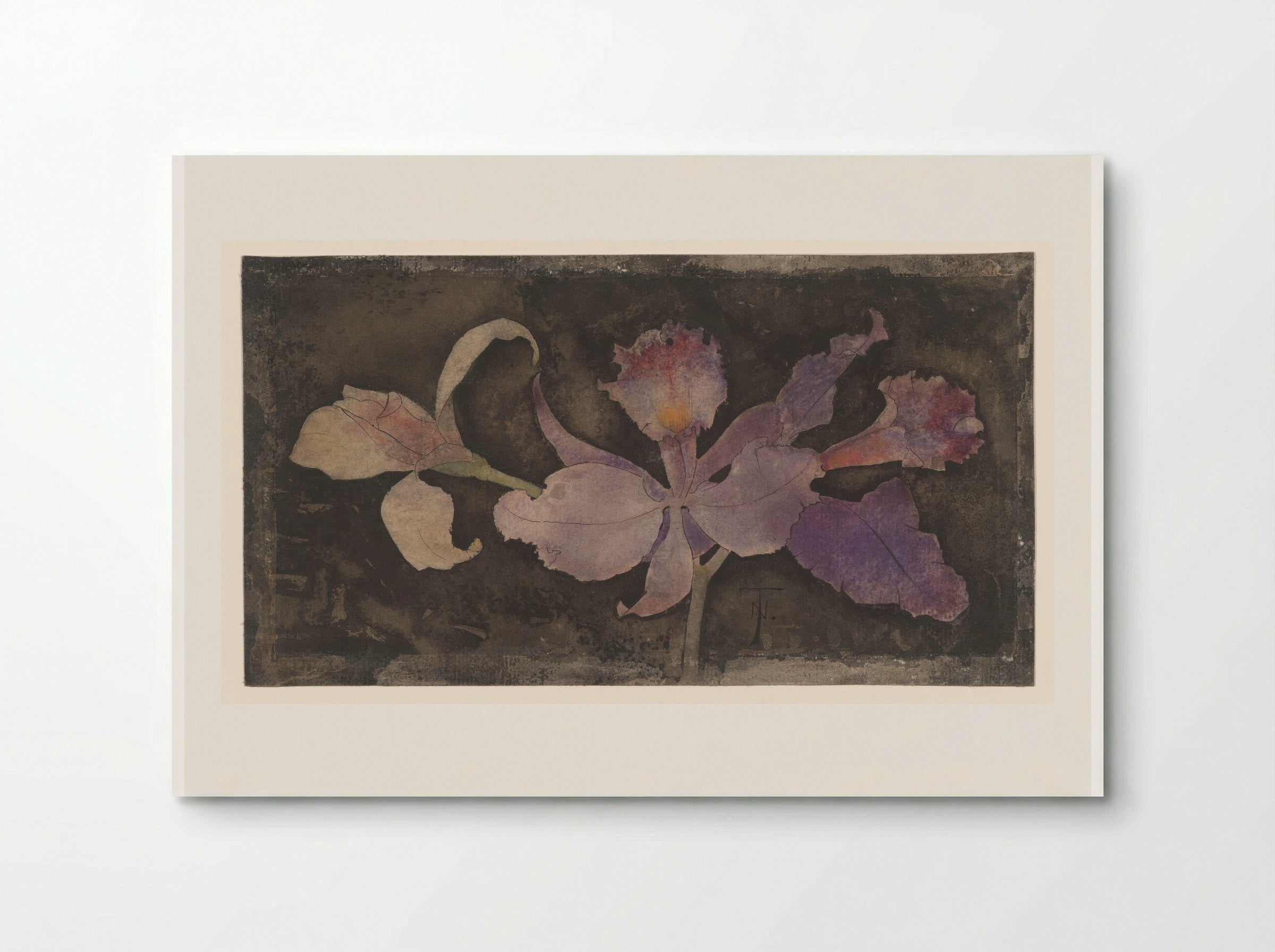 Paarse orchidee - Theo Nieuwenhuis - Poster