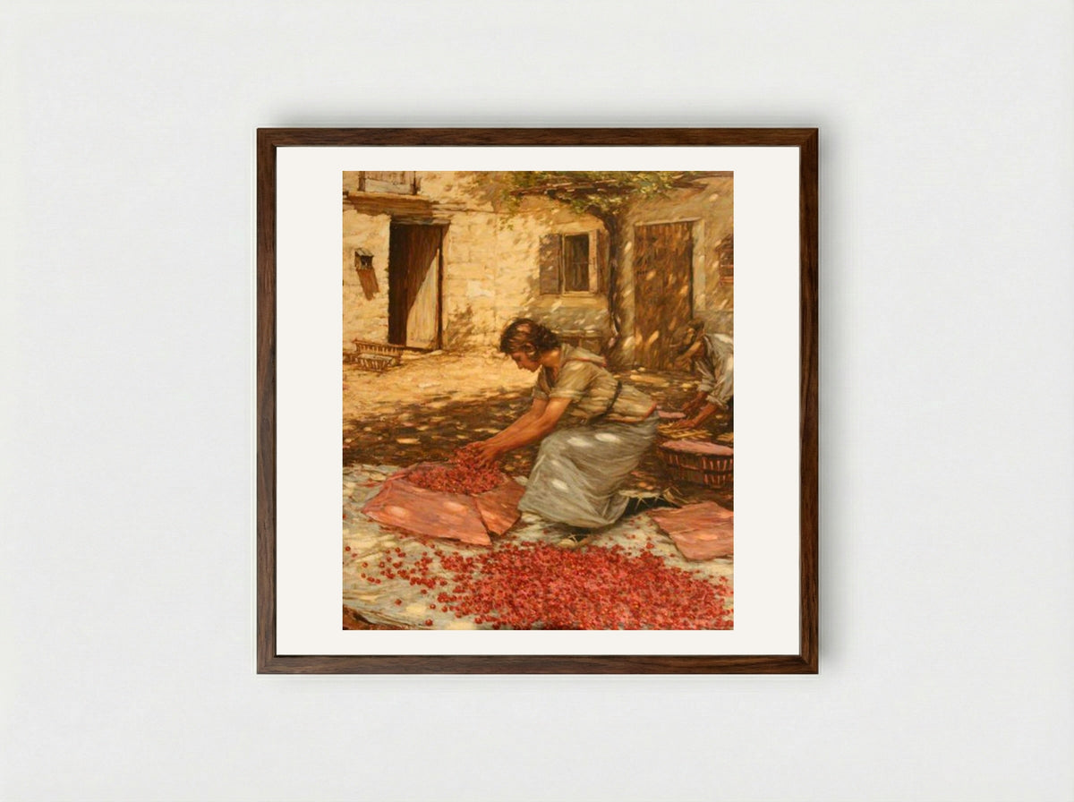 Packing Cherries in Provence, France - Henry Herbert La Thangue - Framed Print Dark Wood
