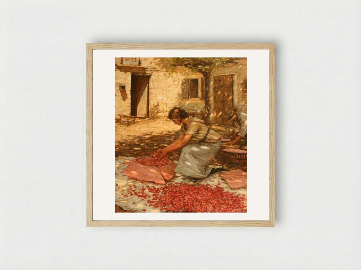 Packing Cherries in Provence, France - Henry Herbert La Thangue - Framed Print Wood