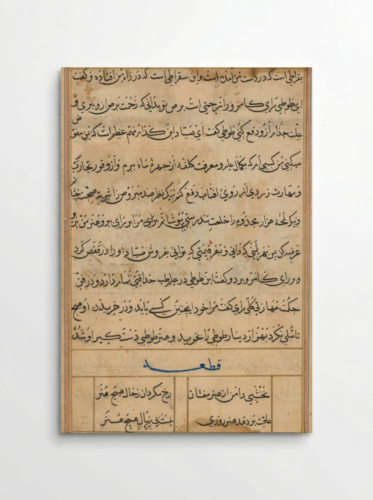 Page from Tales of a Parrot (Tuti-nama) - Basavana - Poster