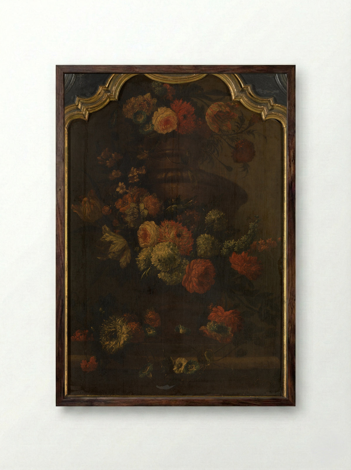 Papegaai (Floral Still Life) - Peter Casteels III - Framed Print Dark Wood