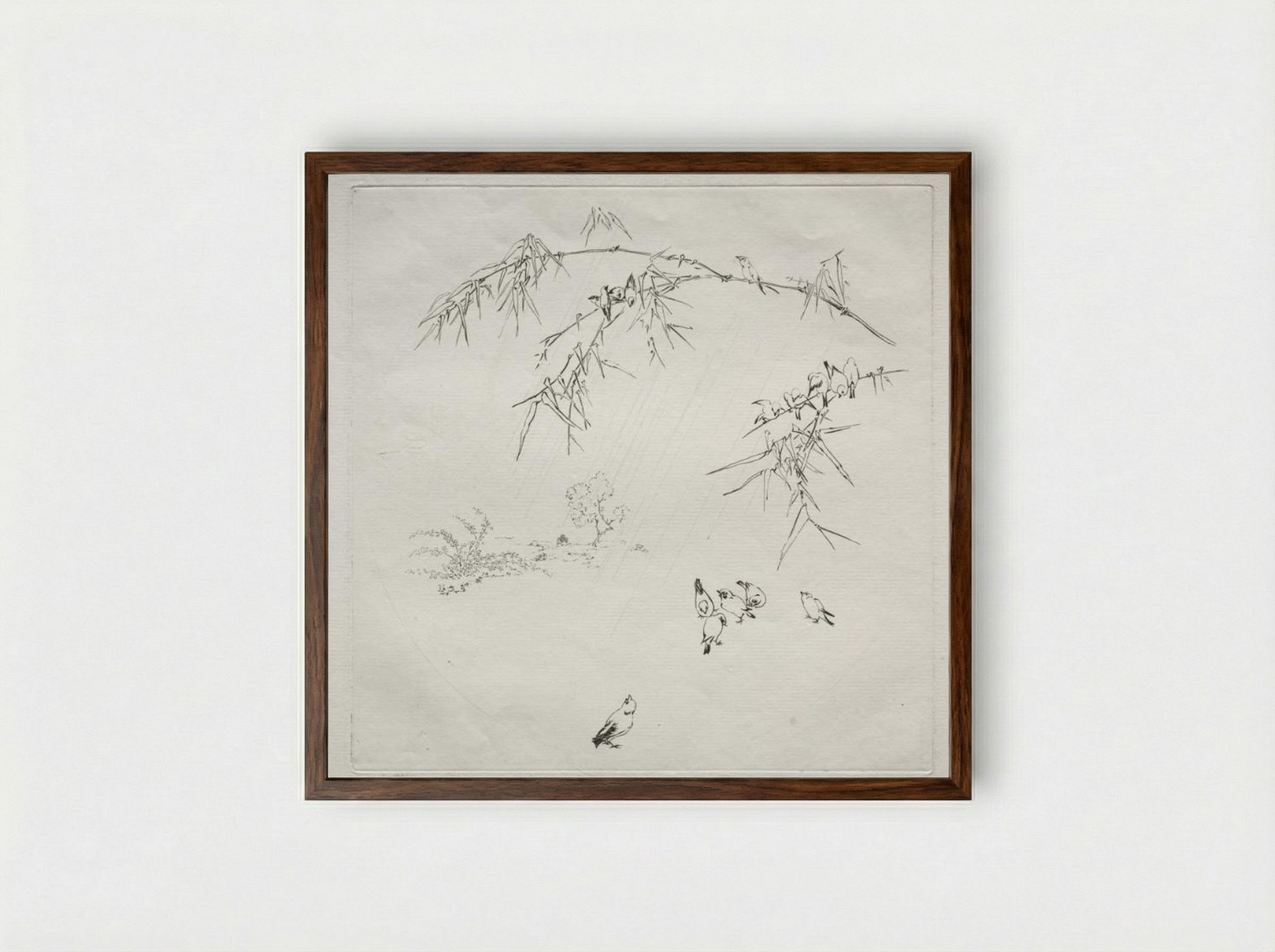 Parisian Service (Haviland service): Rain (no. 10) - Félix Bracquemond - Framed Print Dark Wood