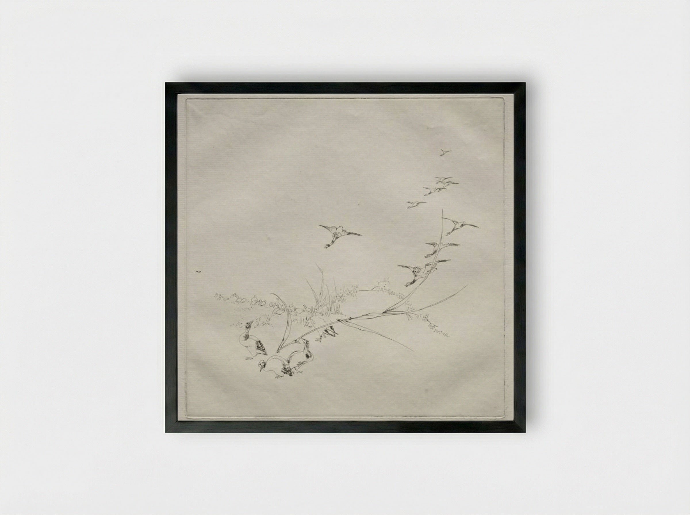 Parisian Service (Haviland service): Right in the sun (no. 9) - Félix Bracquemond - Framed Print Black