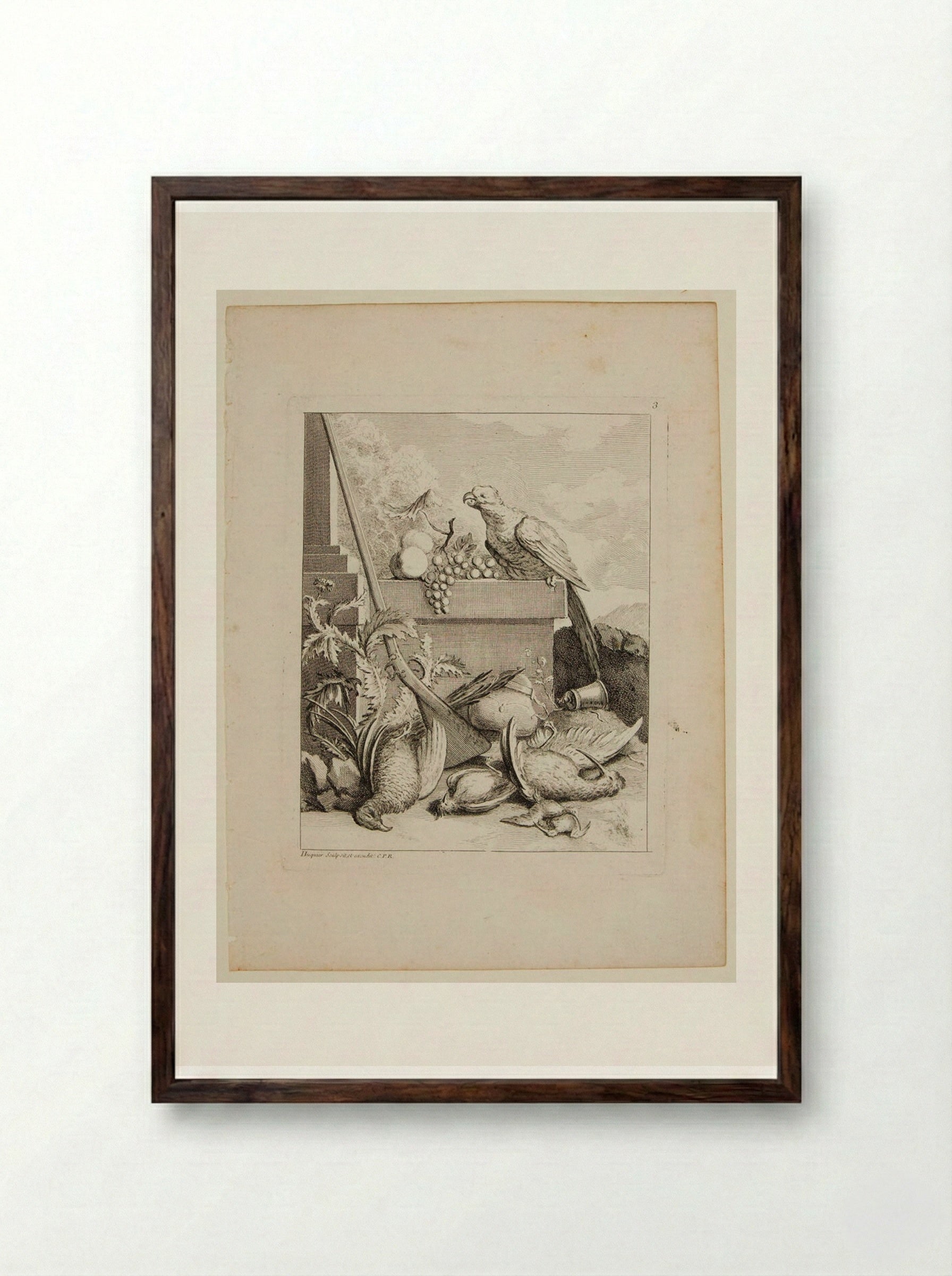 Parrot and a Bunch of Grapes, with Game Birds - Gabriel Huquier - Framed Print Dark Wood
