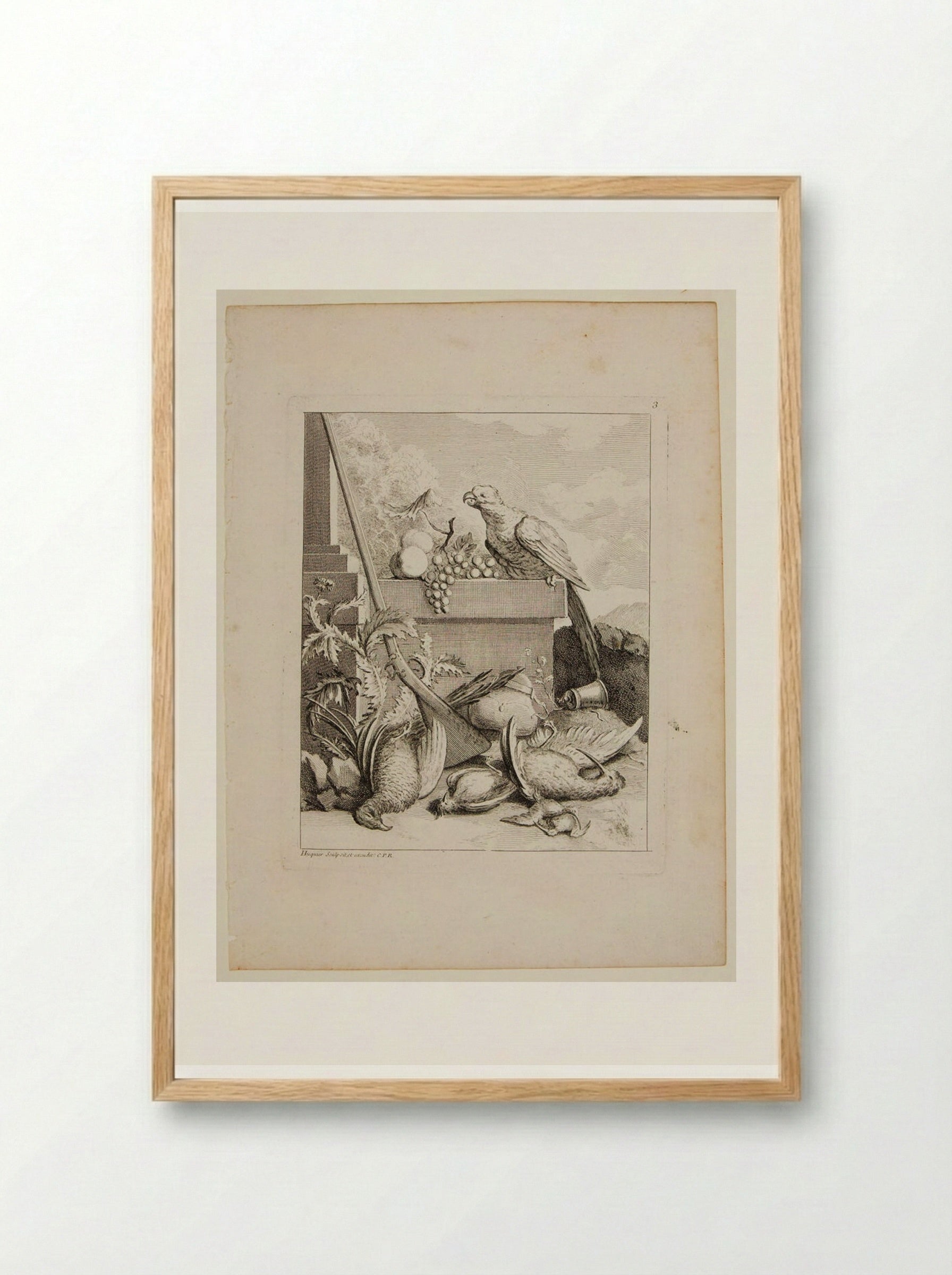 Parrot and a Bunch of Grapes, with Game Birds - Gabriel Huquier - Framed Print Wood