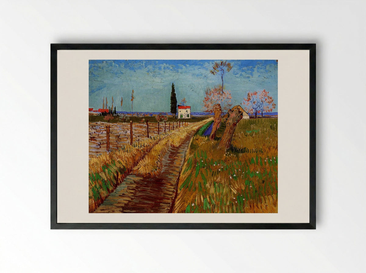 Path Through a Field with Willows - Vincent van Gogh - Framed Print Black