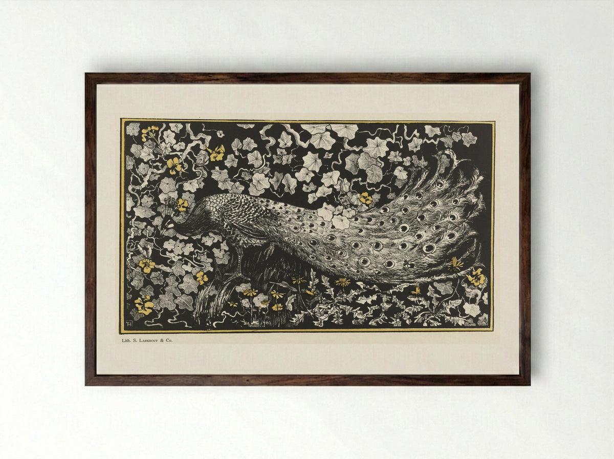 Pauw (Peacock) - Samuel Lankhout & Co. - Framed Print Dark Wood