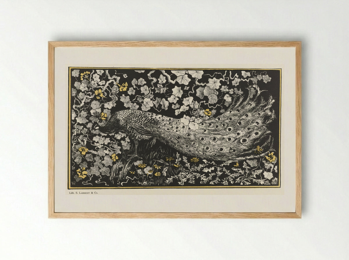 Pauw (Peacock) - Samuel Lankhout & Co. - Framed Print Wood