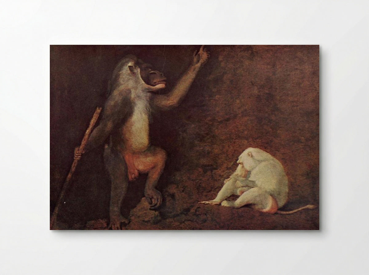 Pavian and Albino Makake - George Stubbs - Poster