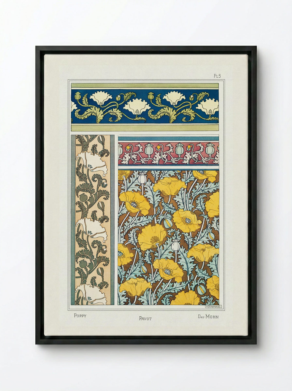 Pavot (Poppy) from La Plante et ses Applications ornementales - Maurice Pillard Verneuil - Framed Canvas Black