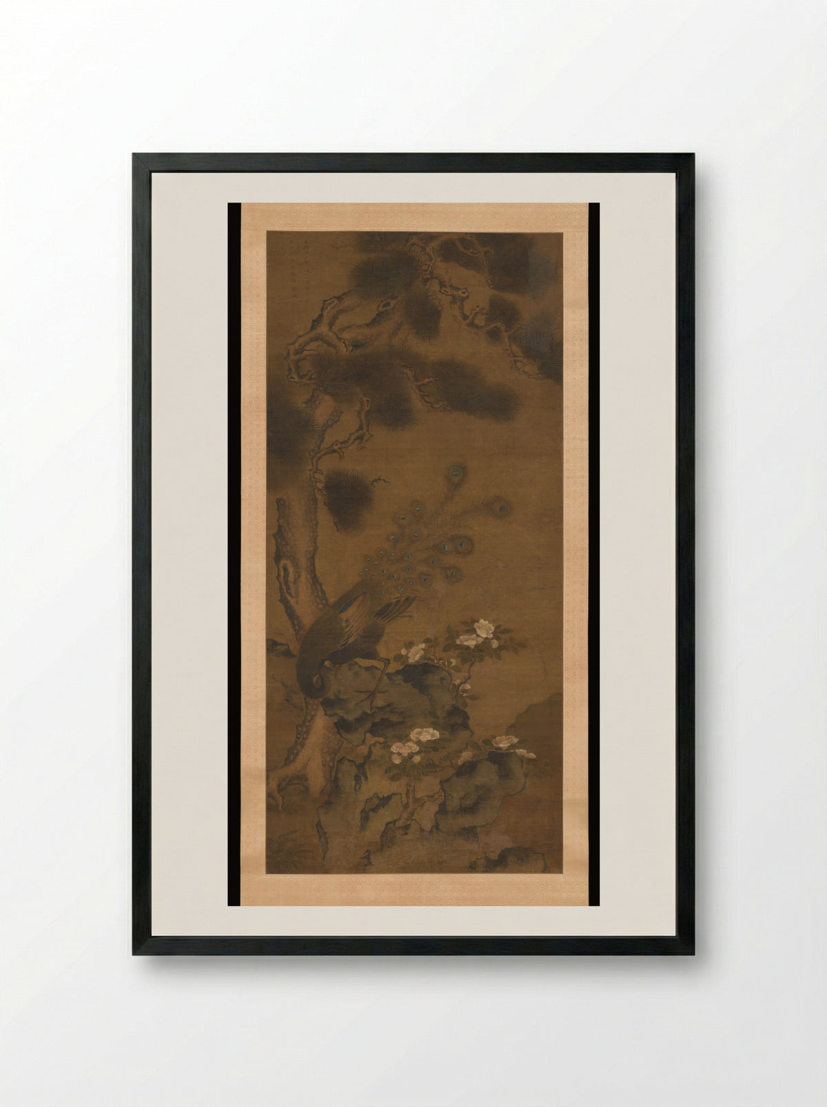 Peacock with Pine and Camellia - Zhu Duan - Framed Print Black
