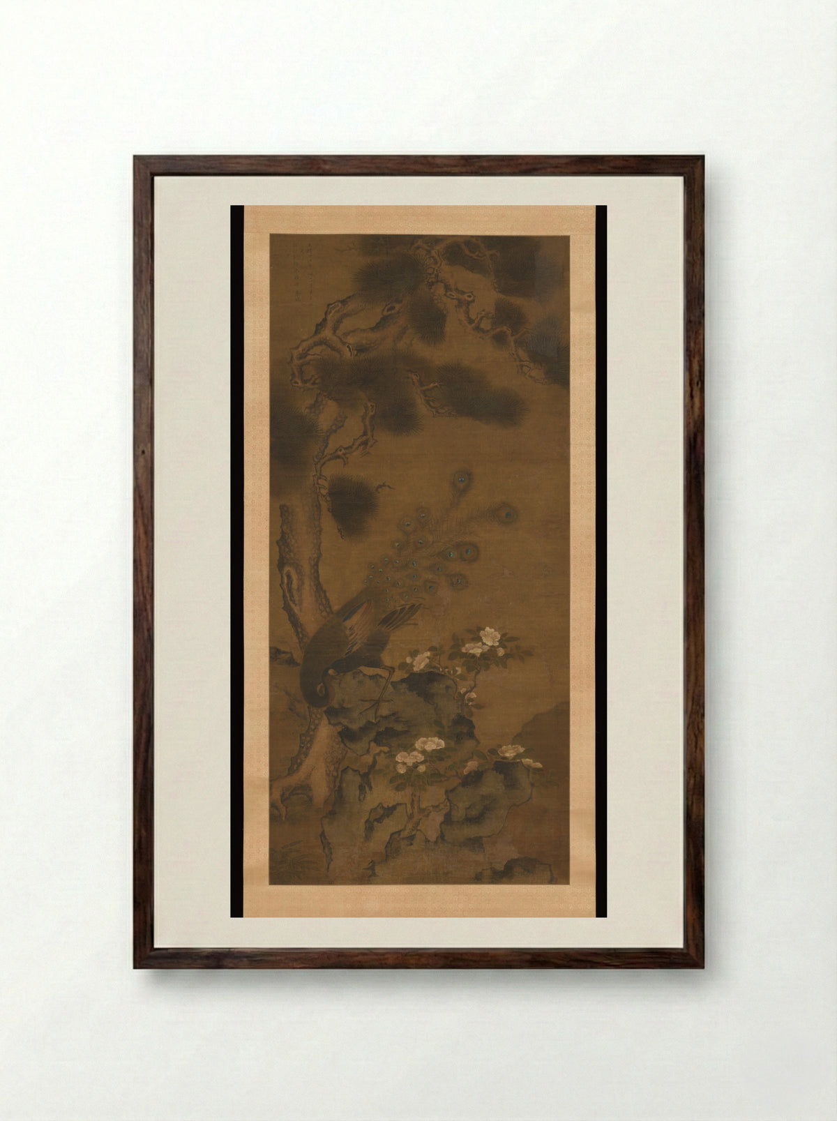 Peacock with Pine and Camellia - Zhu Duan - Framed Print Dark Wood