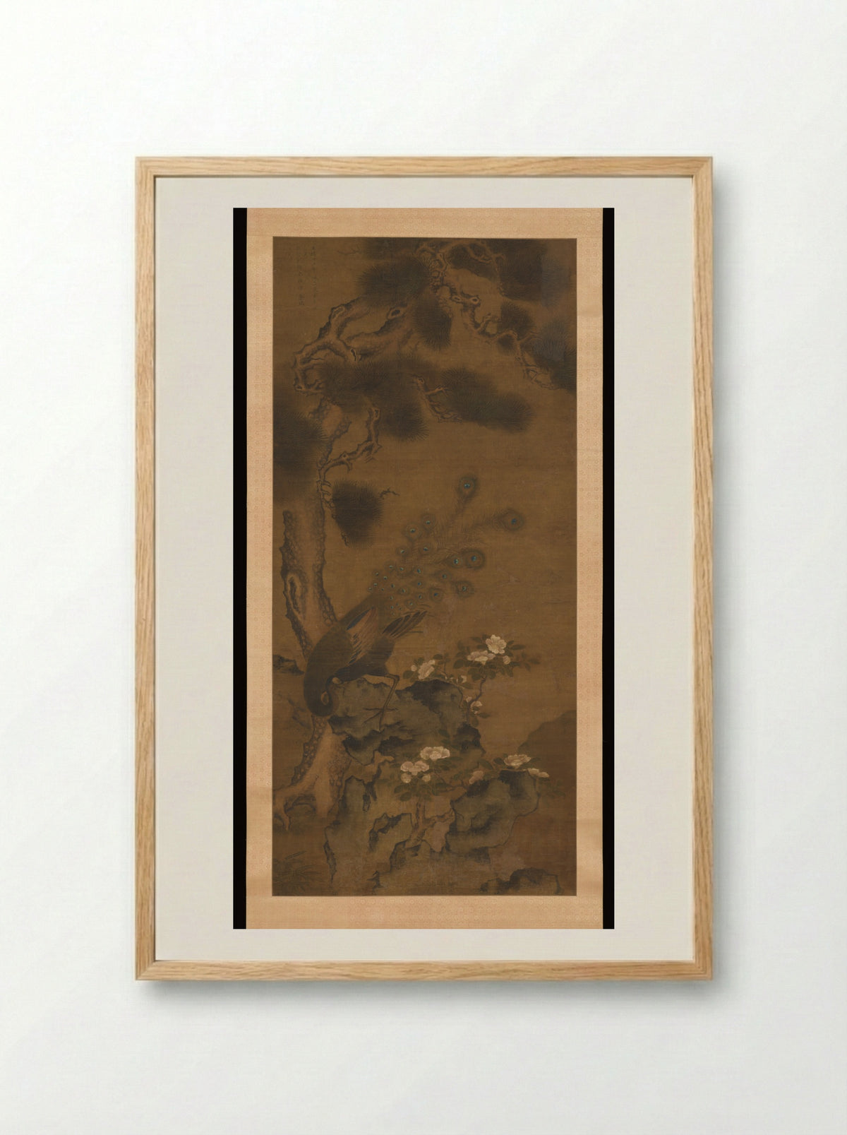 Peacock with Pine and Camellia - Zhu Duan - Framed Print Wood