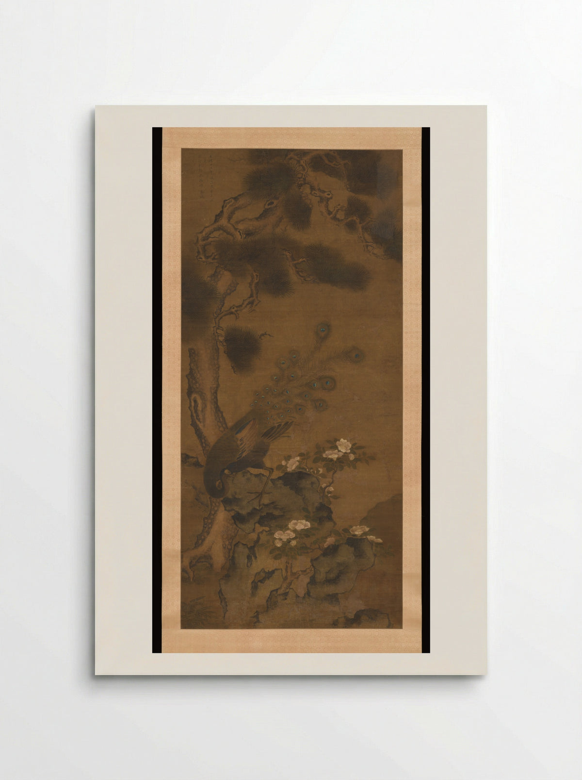 Peacock with Pine and Camellia - Zhu Duan - Poster