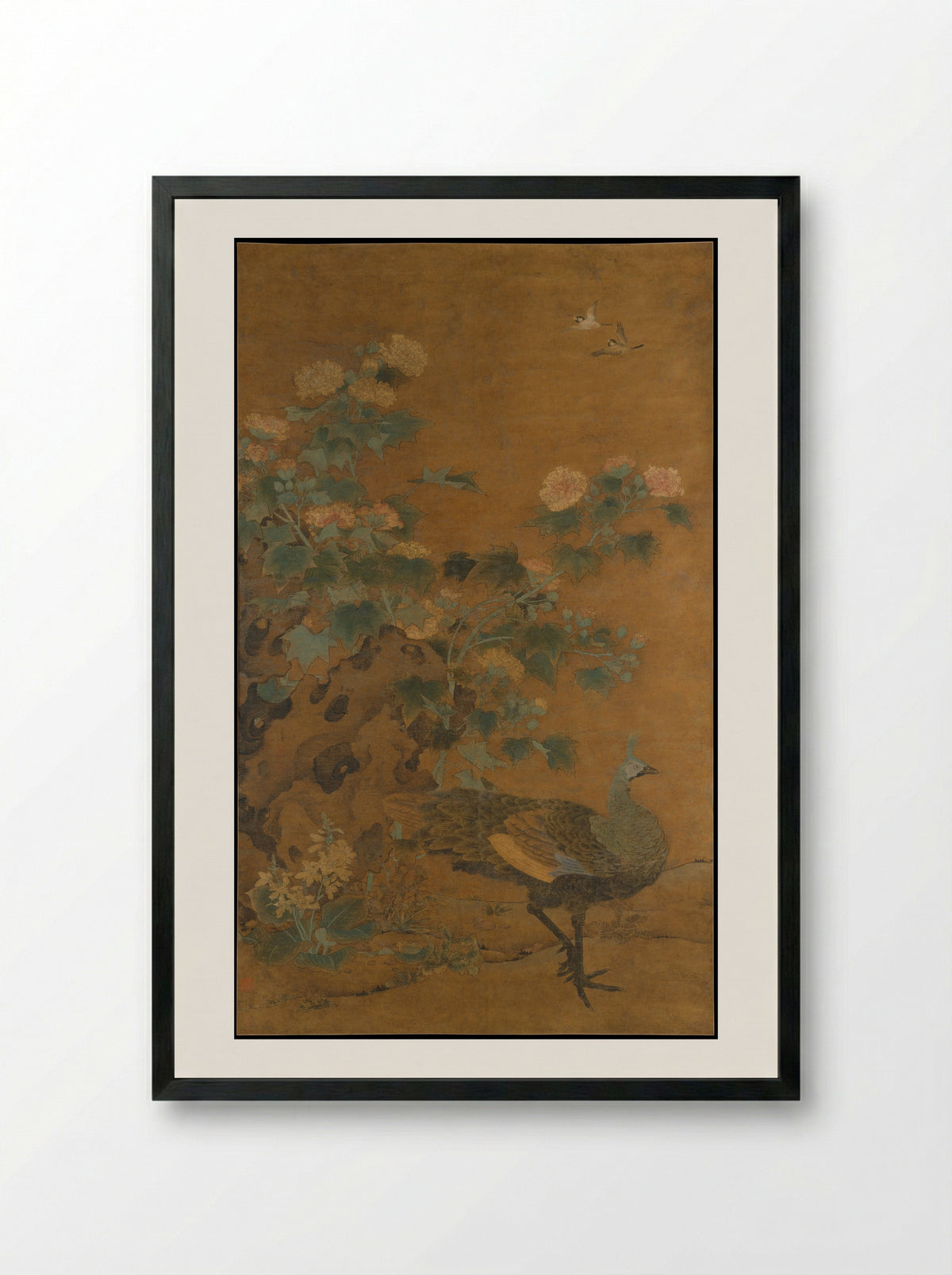 Peahen and Hibiscus - Bian Lu - Framed Print Black