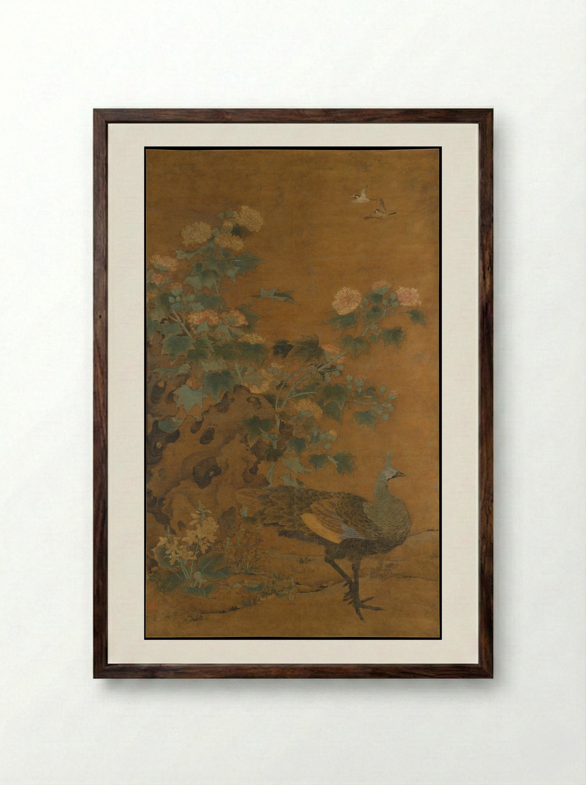Peahen and Hibiscus - Bian Lu - Framed Print Dark Wood