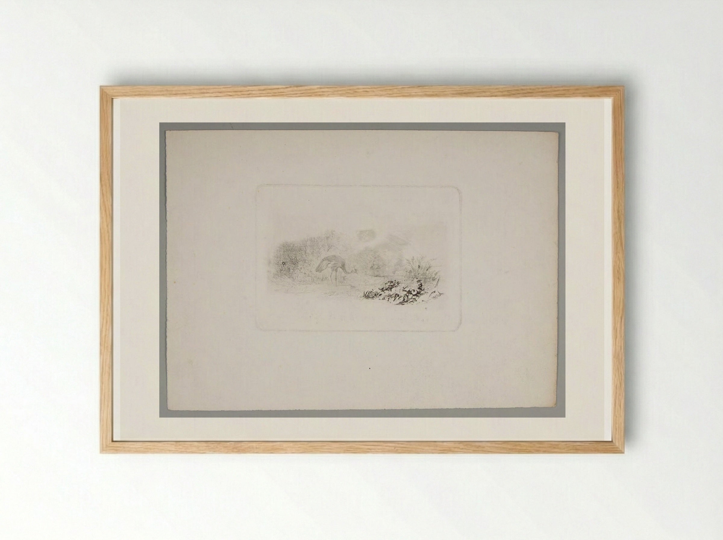 Peahen - Karl Bodmer - Framed Print Wood