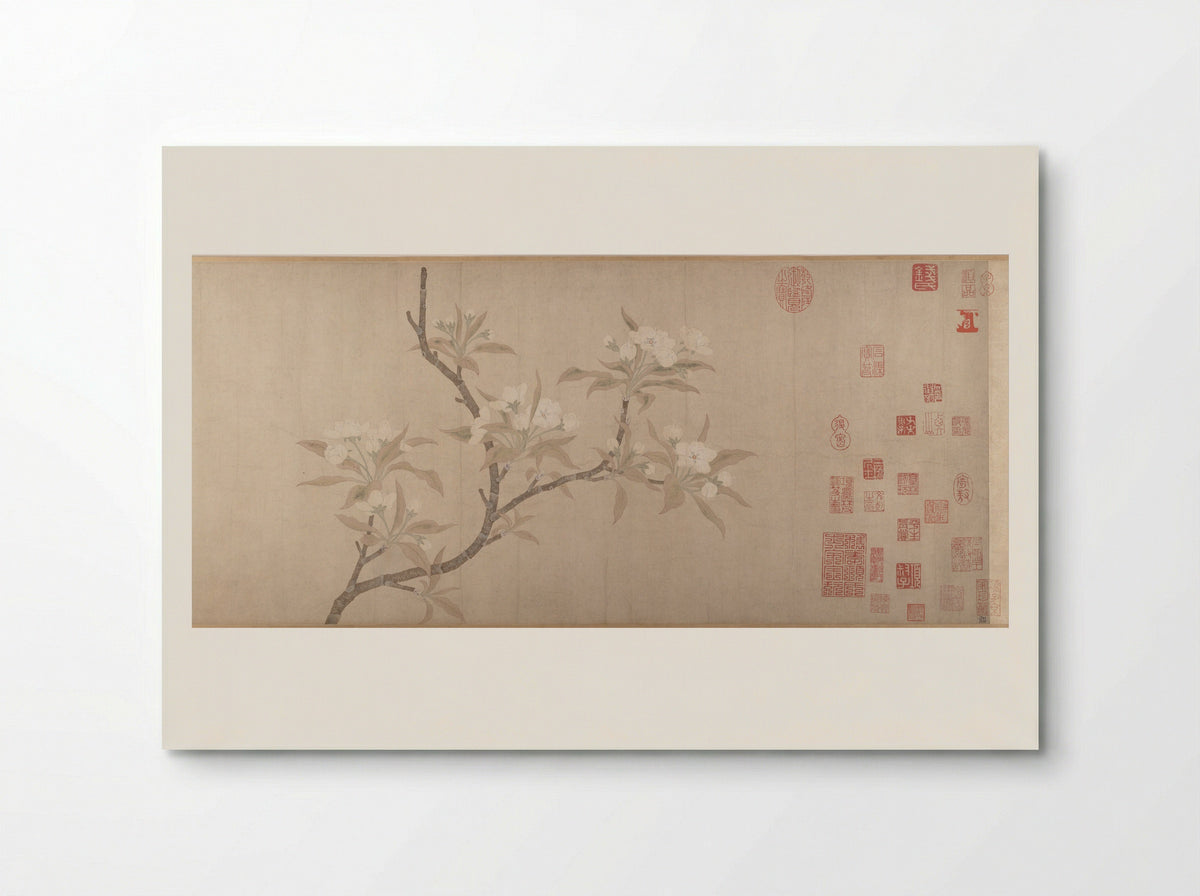 Pear Blossoms - Fine Art Print - Poster
