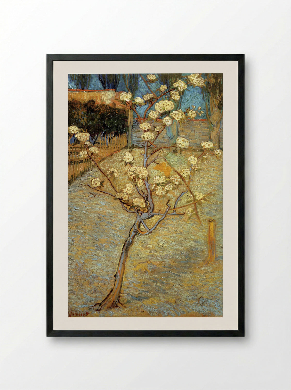 Pear Tree in Blossom - Vincent van Gogh - Framed Print Black