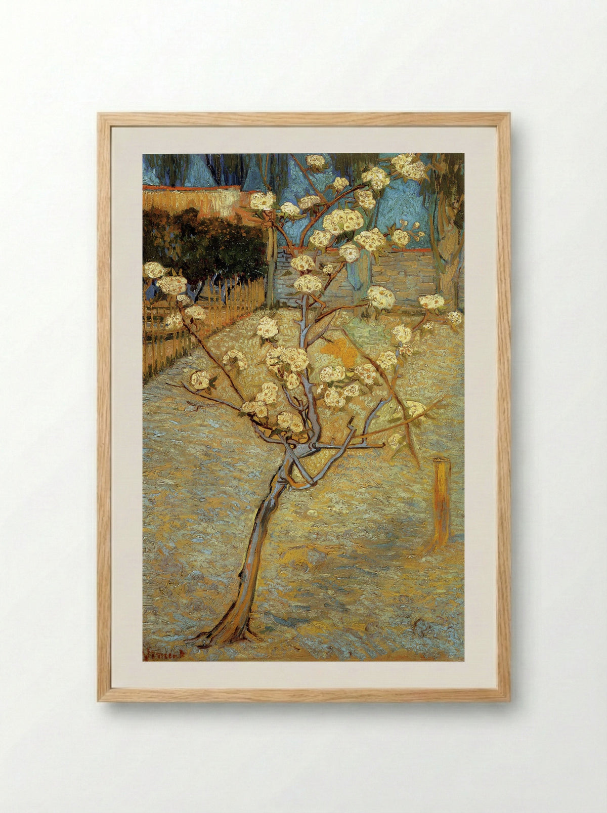 Pear Tree in Blossom - Vincent van Gogh - Framed Print Wood