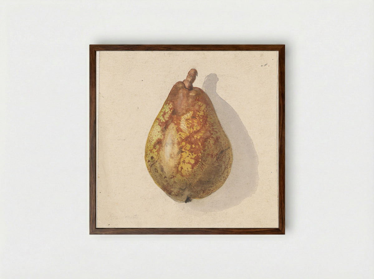 Peer (Pear) - Gerardina Jacoba van de Sande Bakhuyzen - Framed Print Dark Wood