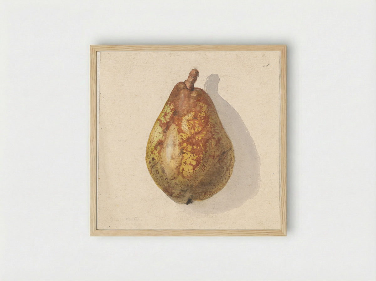Peer (Pear) - Gerardina Jacoba van de Sande Bakhuyzen - Framed Print Wood