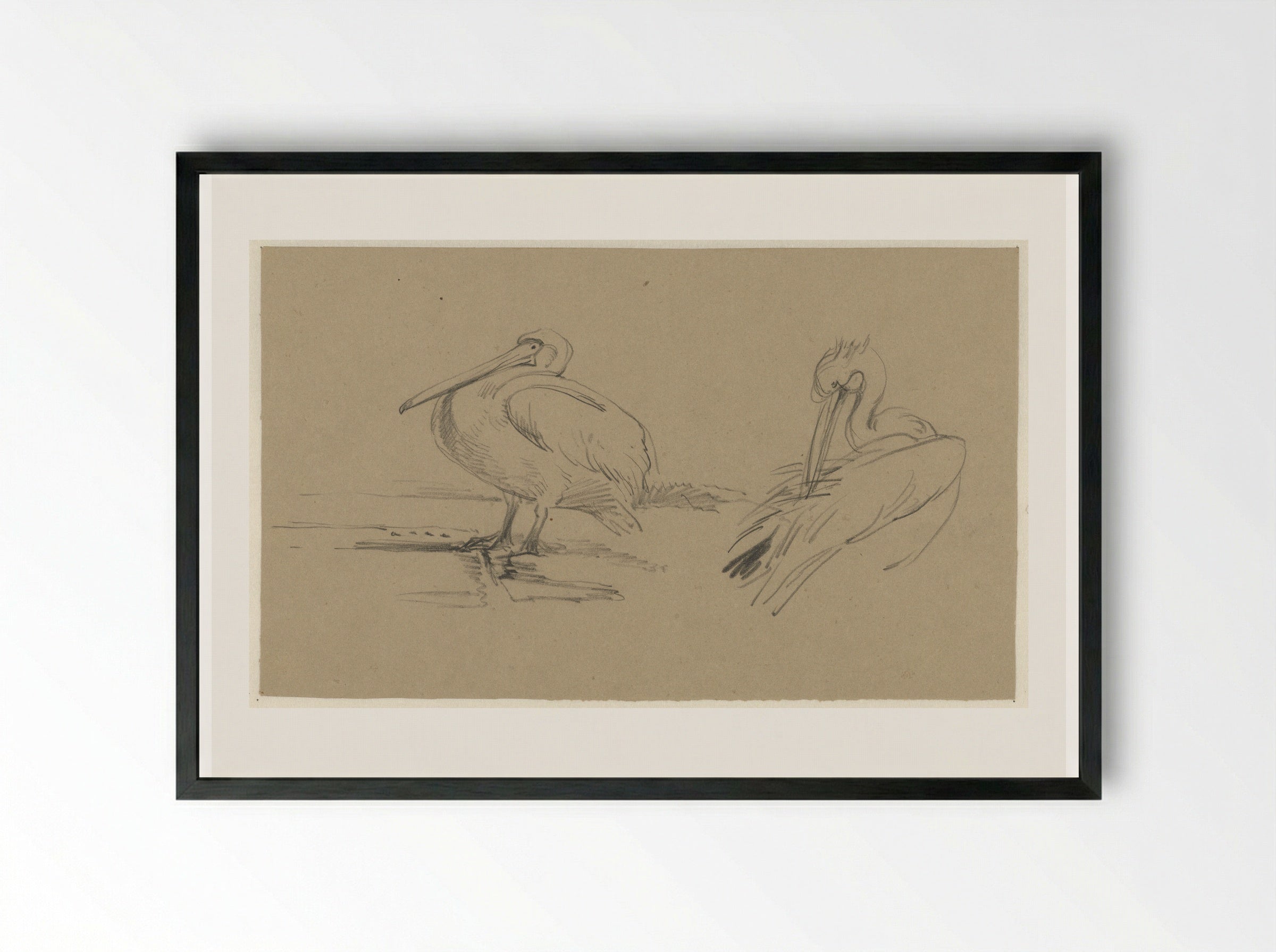 Pelikanen - Guillaume Anne van der Brugghen - Framed Print Black