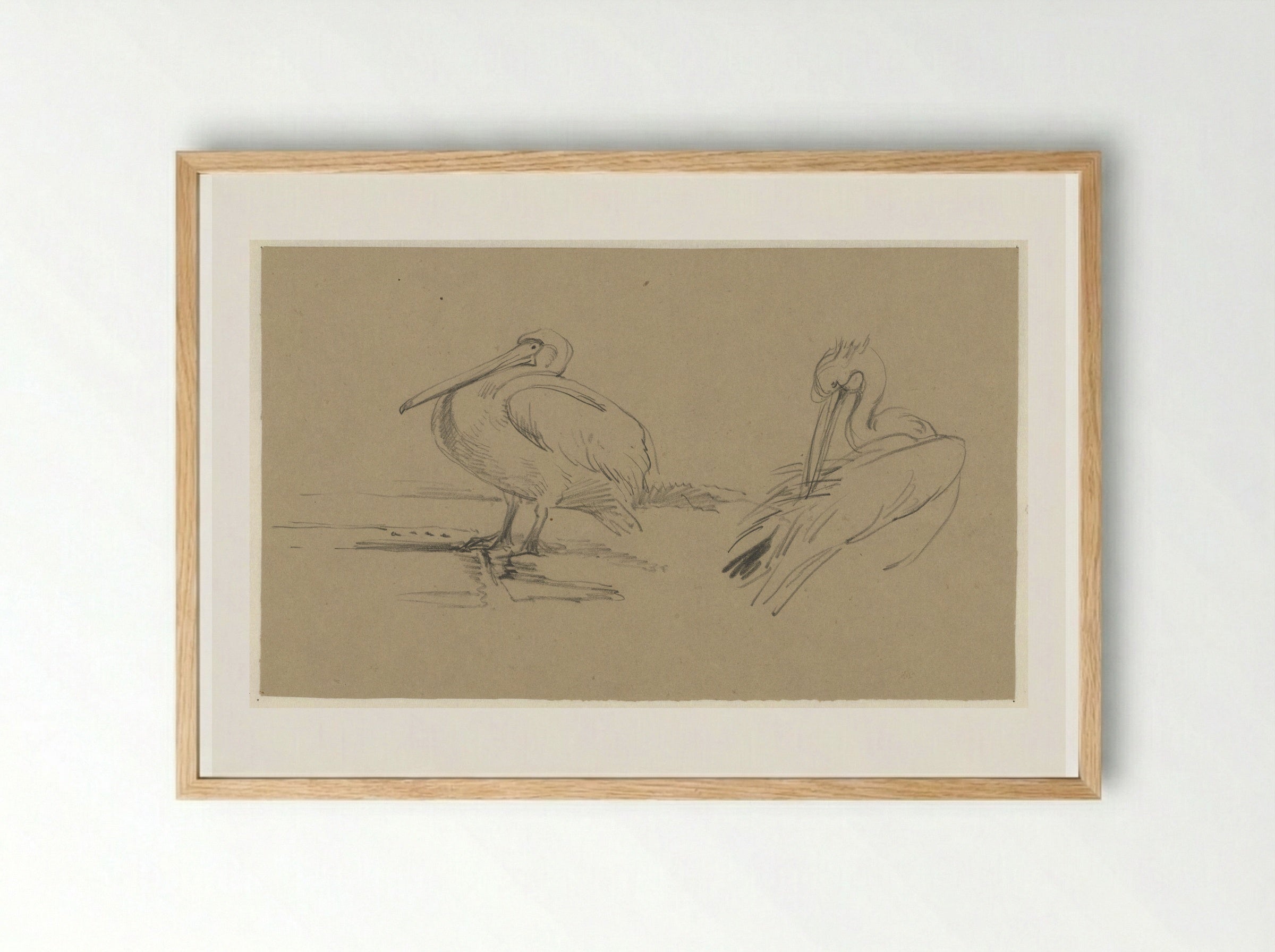 Pelikanen - Guillaume Anne van der Brugghen - Framed Print Wood