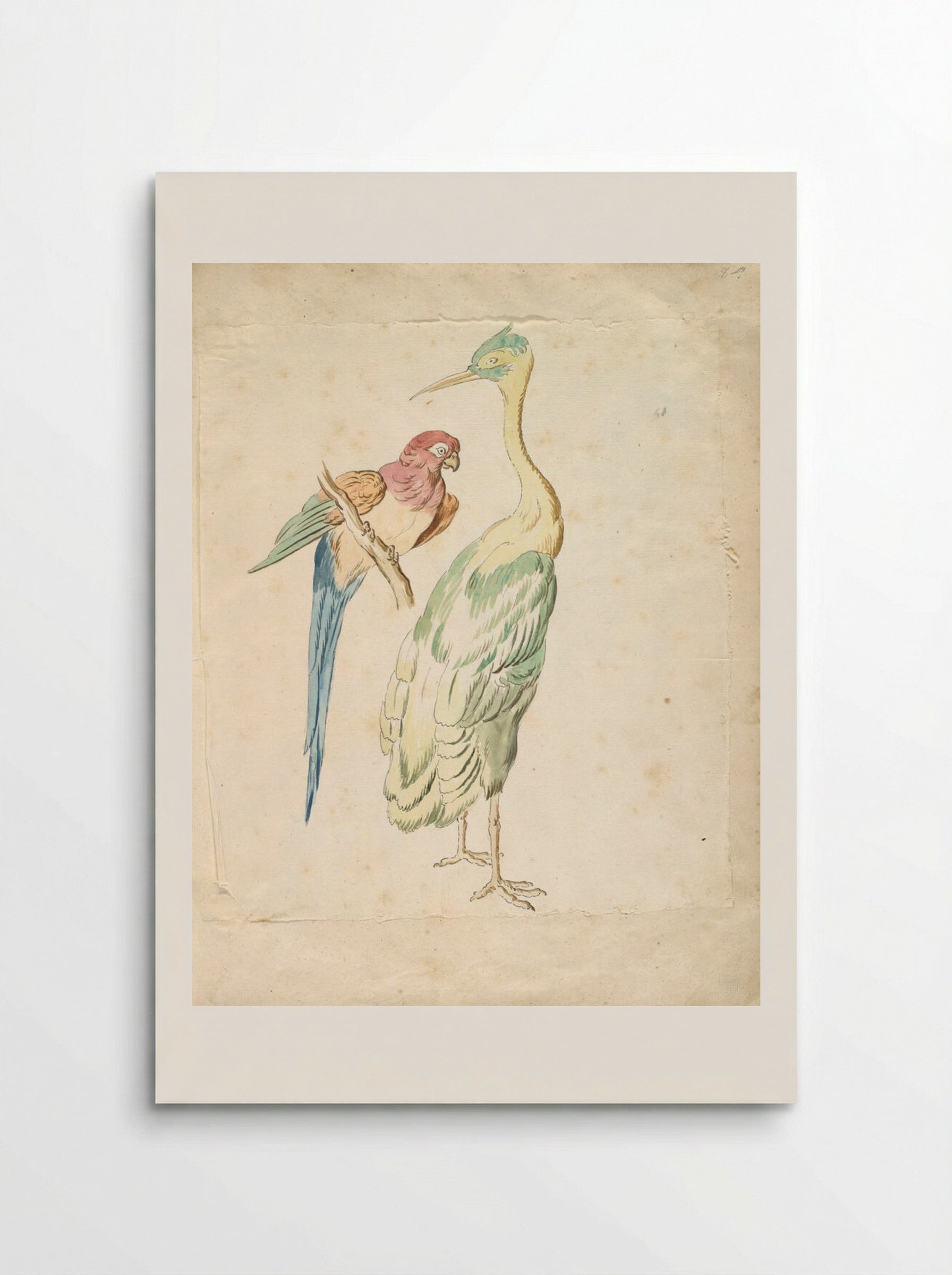 Perched Parrot and Standing Heron - Jean-Baptiste Oudry - Poster