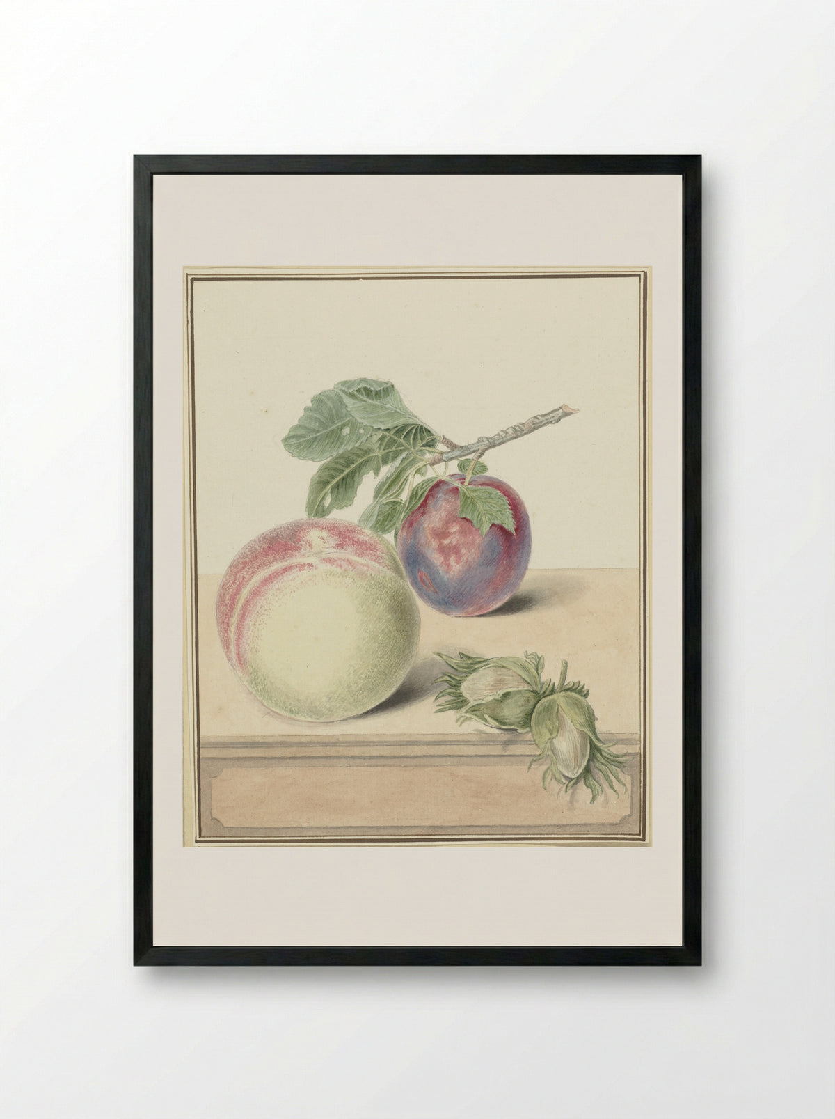 Perzik, een pruim met blad en een paar noten - Elisabeth Geertruida van de Kasteele - Framed Print Black