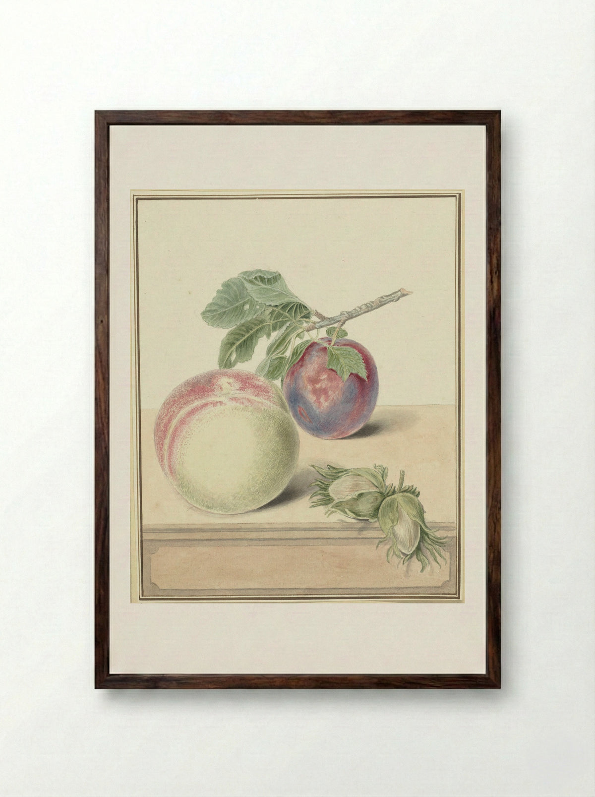 Perzik, een pruim met blad en een paar noten - Elisabeth Geertruida van de Kasteele - Framed Print Dark Wood