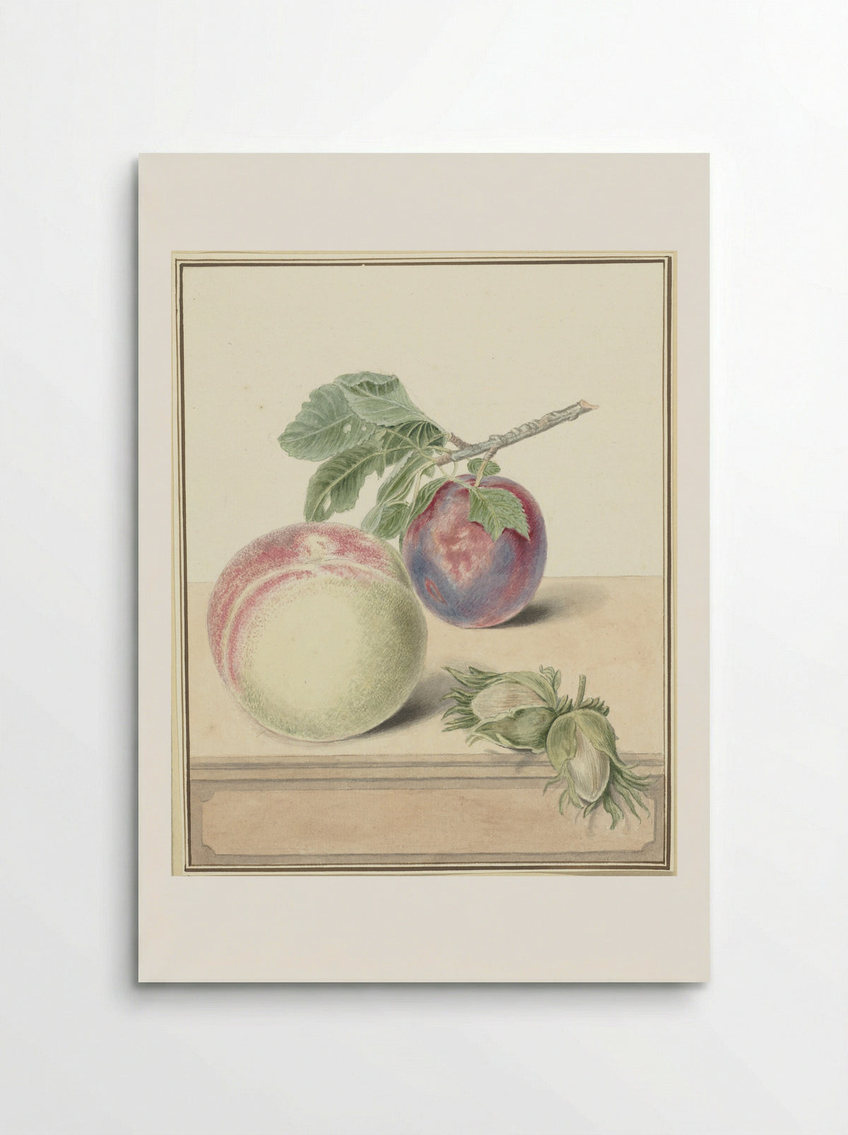 Perzik, een pruim met blad en een paar noten - Elisabeth Geertruida van de Kasteele - Poster