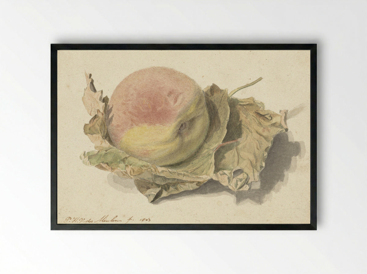 Perzik op twee bladeren - Pieter van der Meulen - Framed Print Black