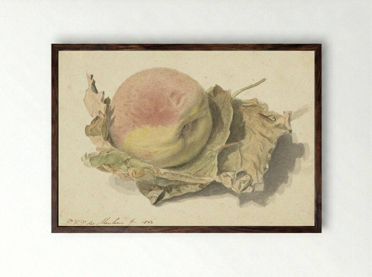 Perzik op twee bladeren - Pieter van der Meulen - Framed Print Dark Wood
