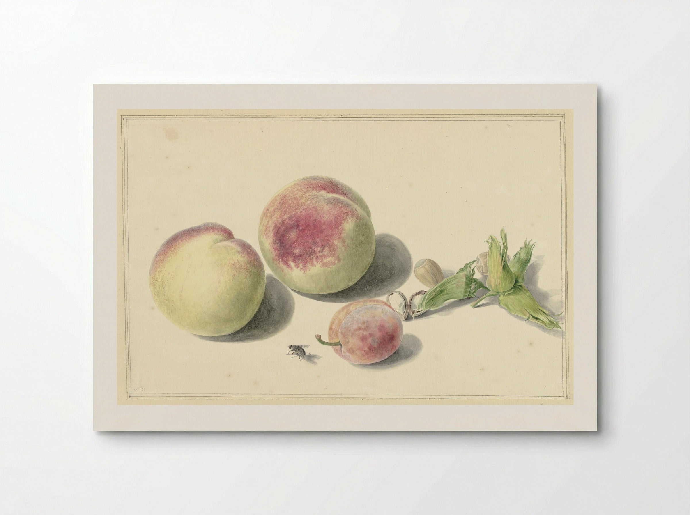Perziken, noten, een pruim en een vlieg - Elisabeth Geertruida van de Kasteele - Poster