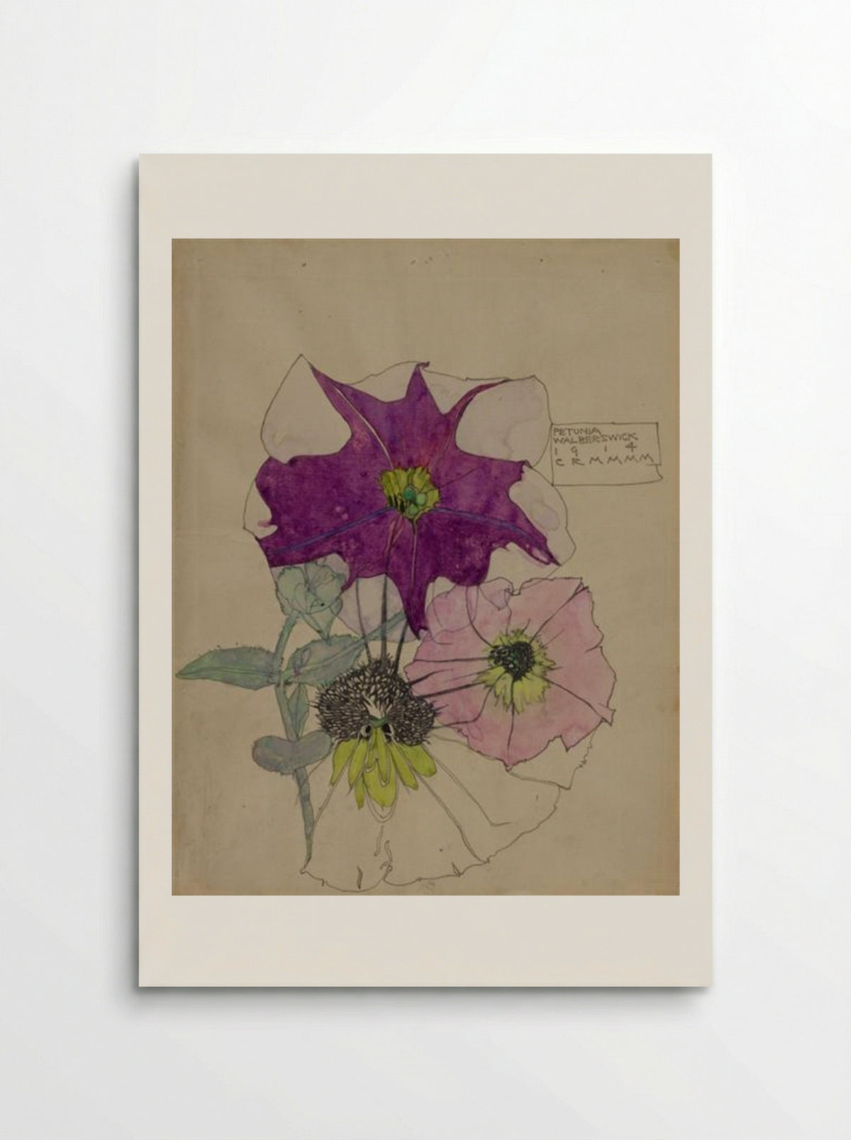 Petunia, Walberswick - Charles Rennie Mackintosh - Poster