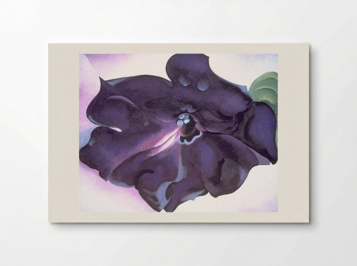 Petunia - Georgia O'Keeffe - Poster