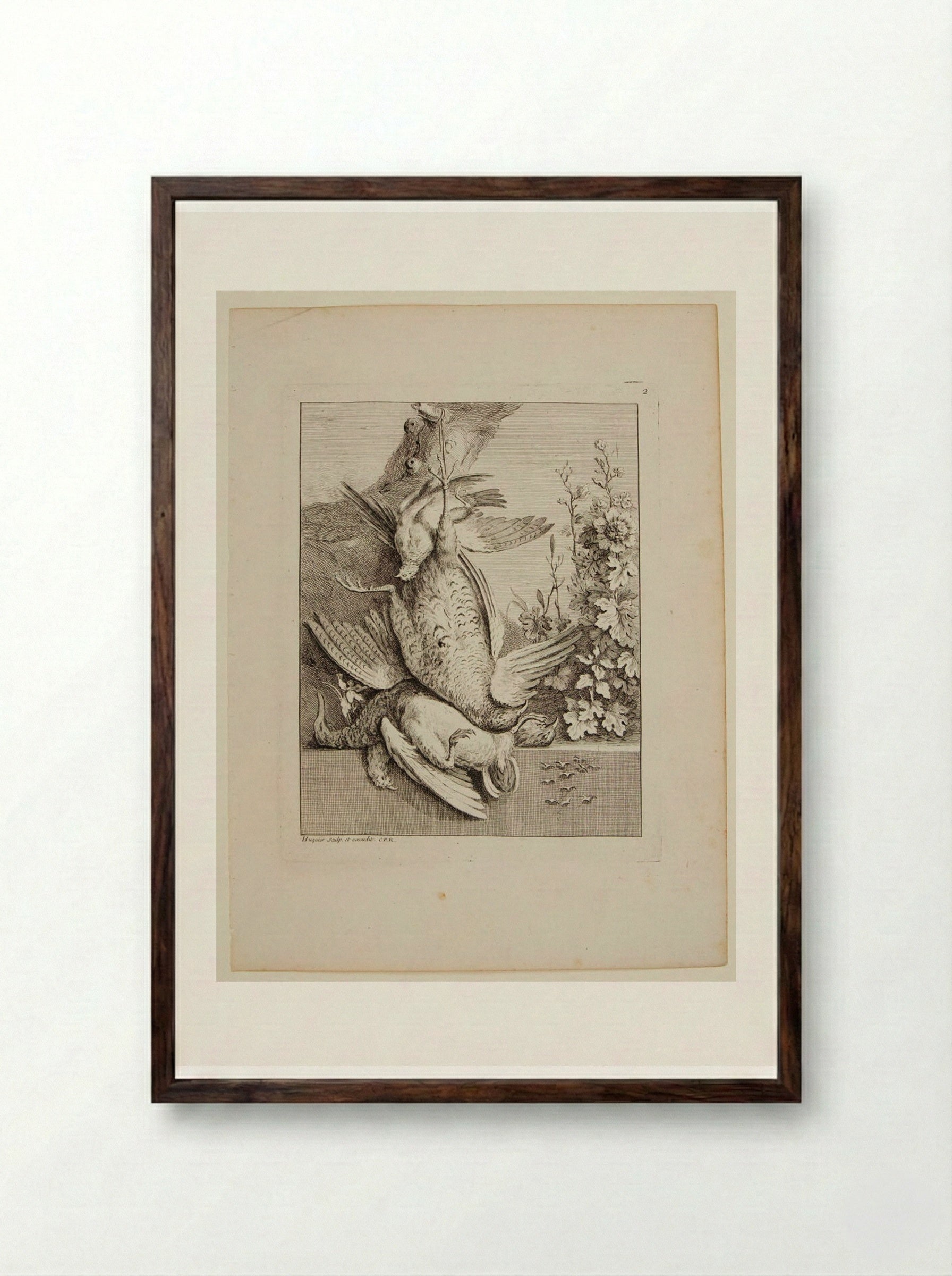 Pheasant, Duck and Three Quails - Gabriel Huquier - Framed Print Dark Wood