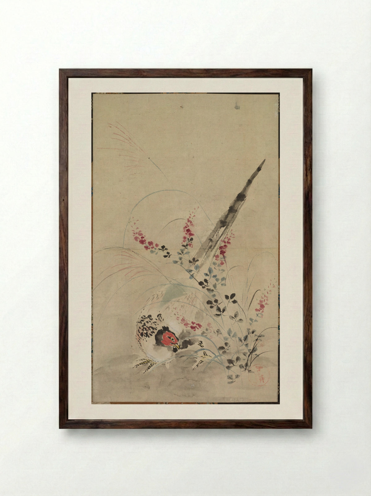 Pheasant and Grasses - Ogata Kōrin - Framed Print Dark Wood