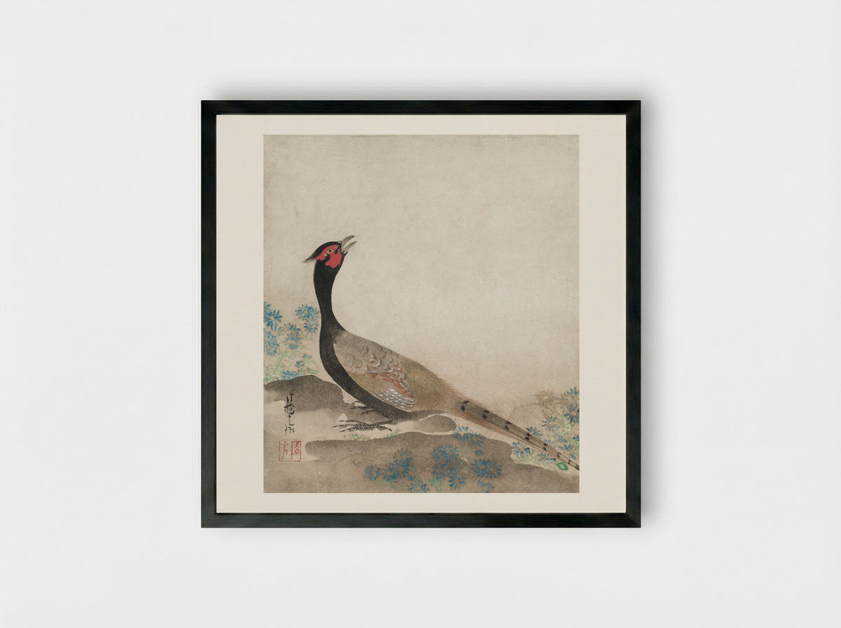 Pheasant - Ogata Kōrin - Framed Print Black