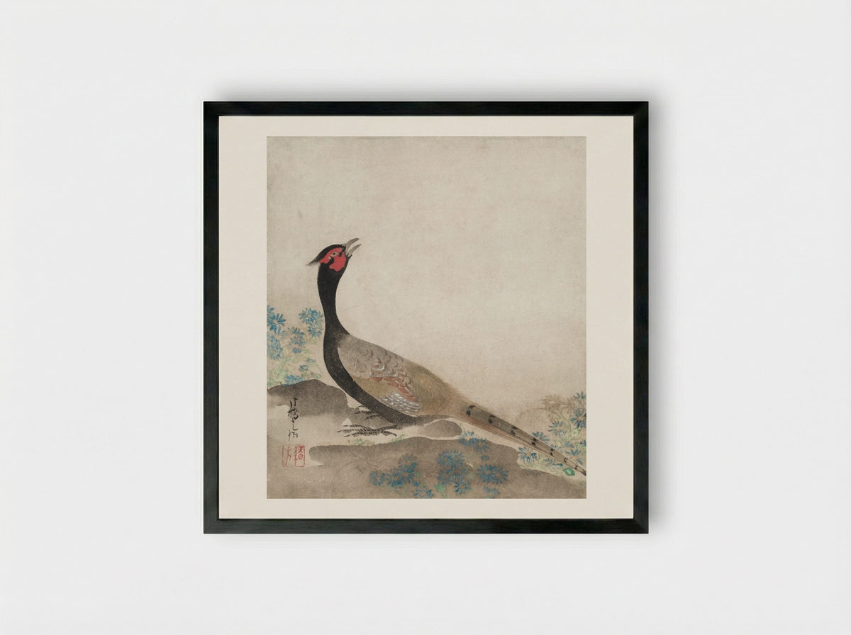 Pheasant - Ogata Kōrin - Framed Print Black