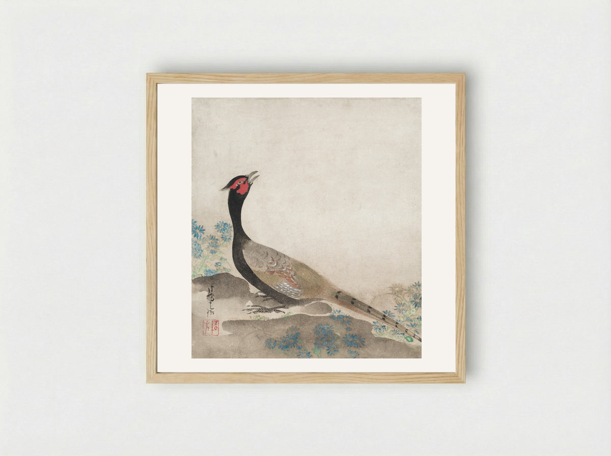 Pheasant - Ogata Kōrin - Framed Print Wood