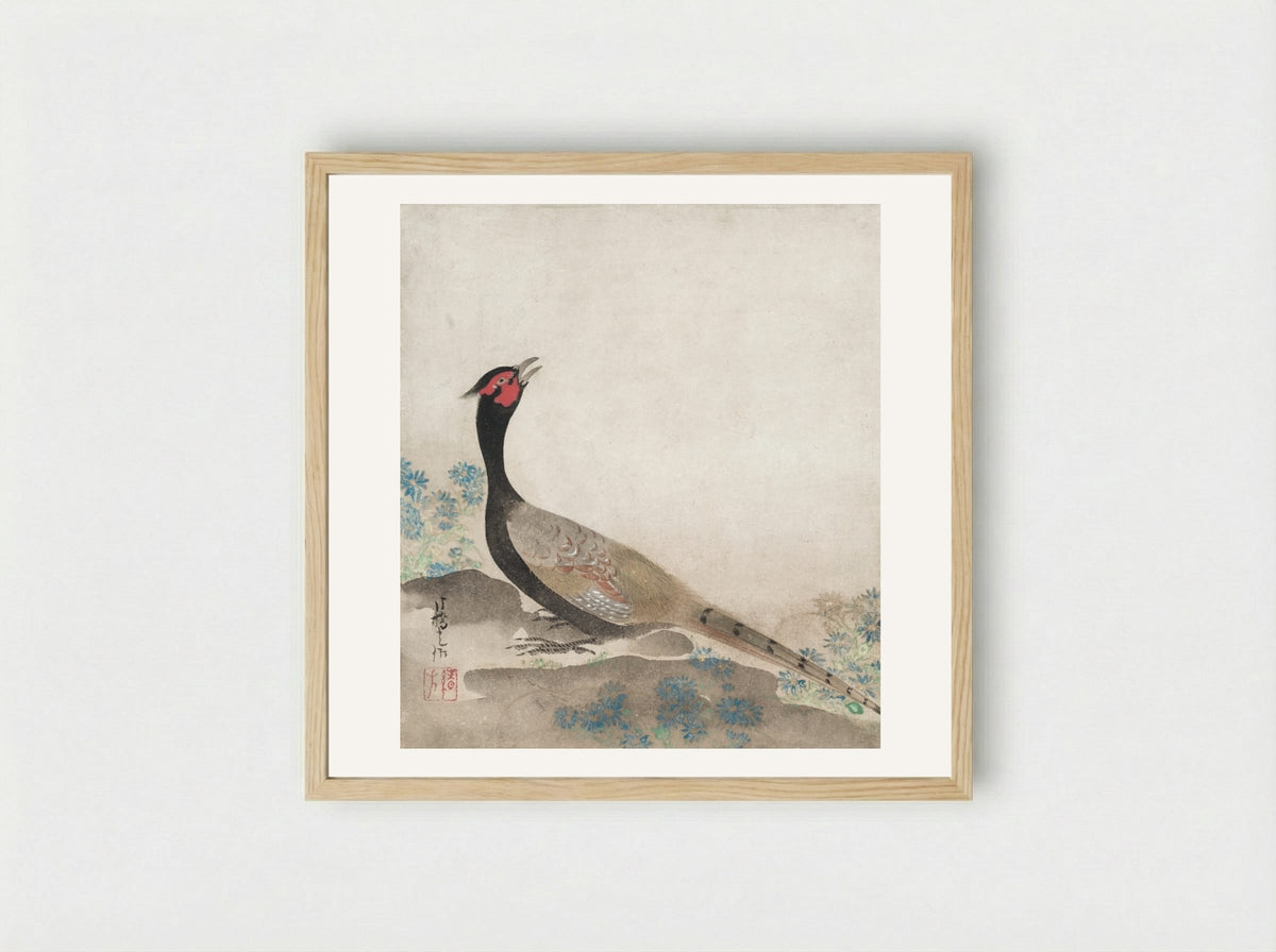 Pheasant - Ogata Kōrin - Framed Print Wood