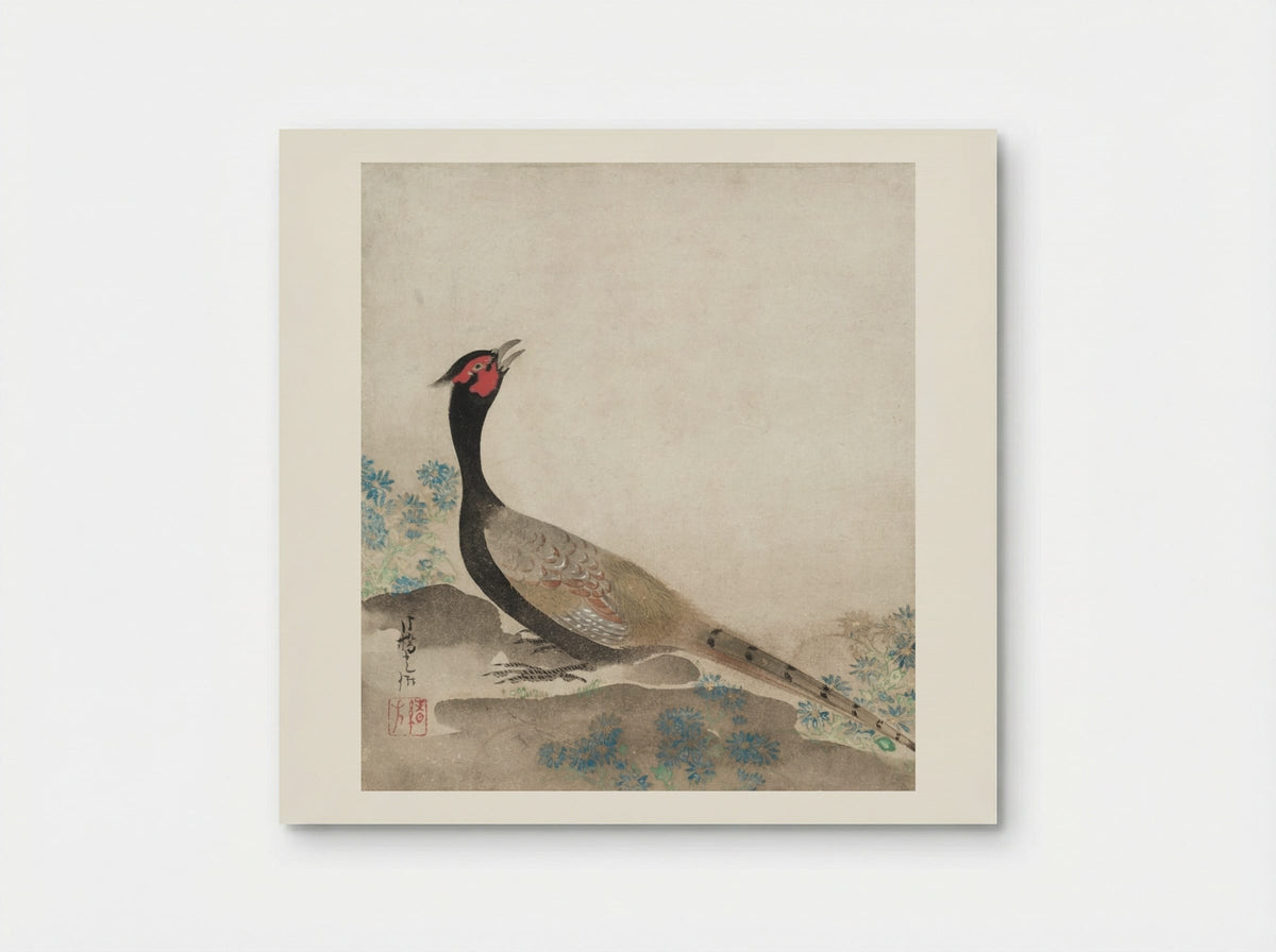 Pheasant - Ogata Kōrin - Poster