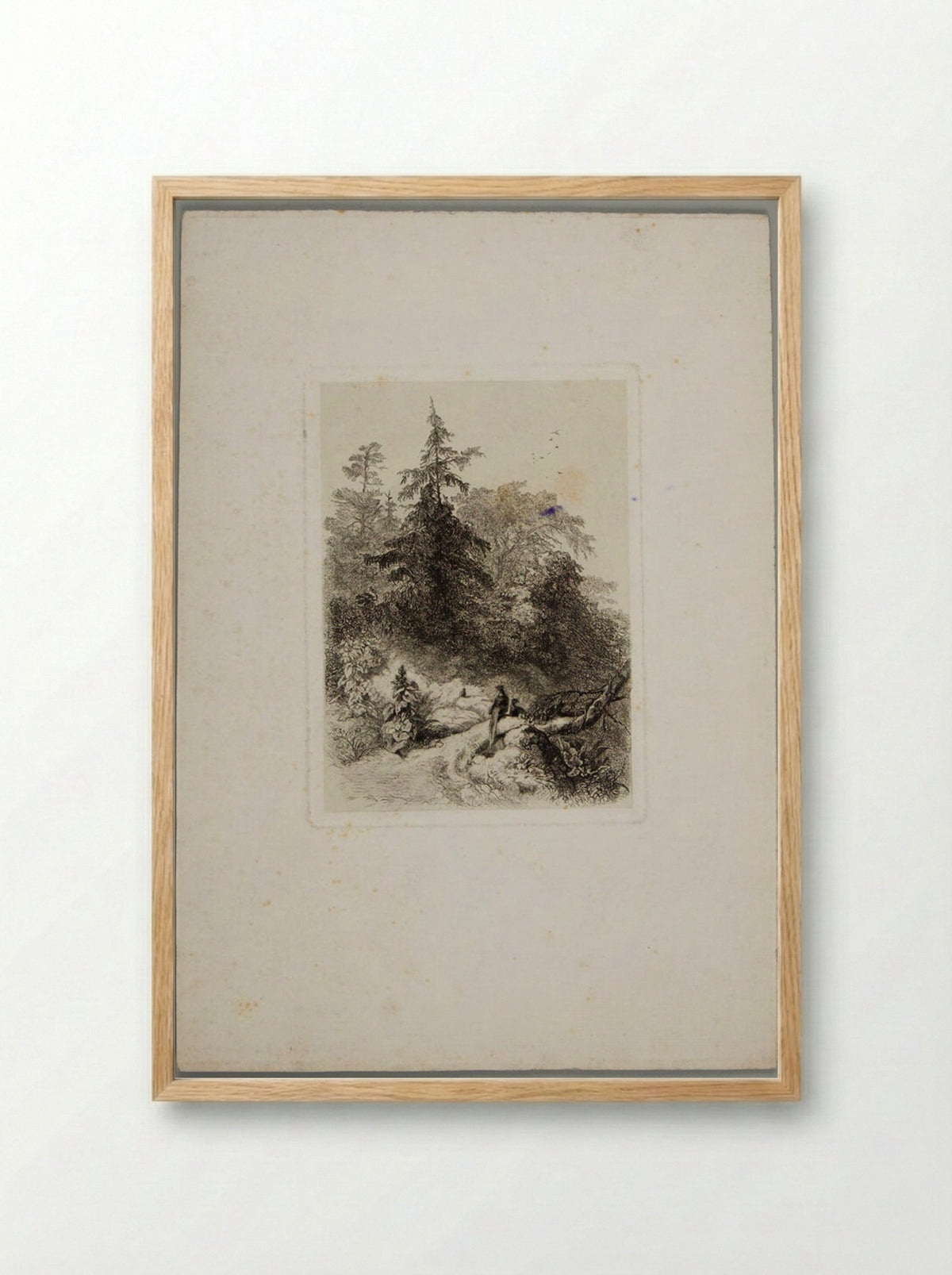 Pheasants in a Wooded Landscape - Karl Bodmer - Framed Print Wood