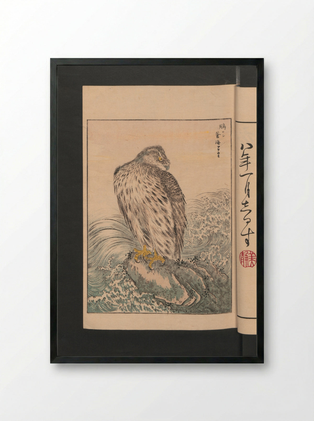 Picture Album of Various Birds (Shūchō gafu) - Numata Kashū - Framed Print Black
