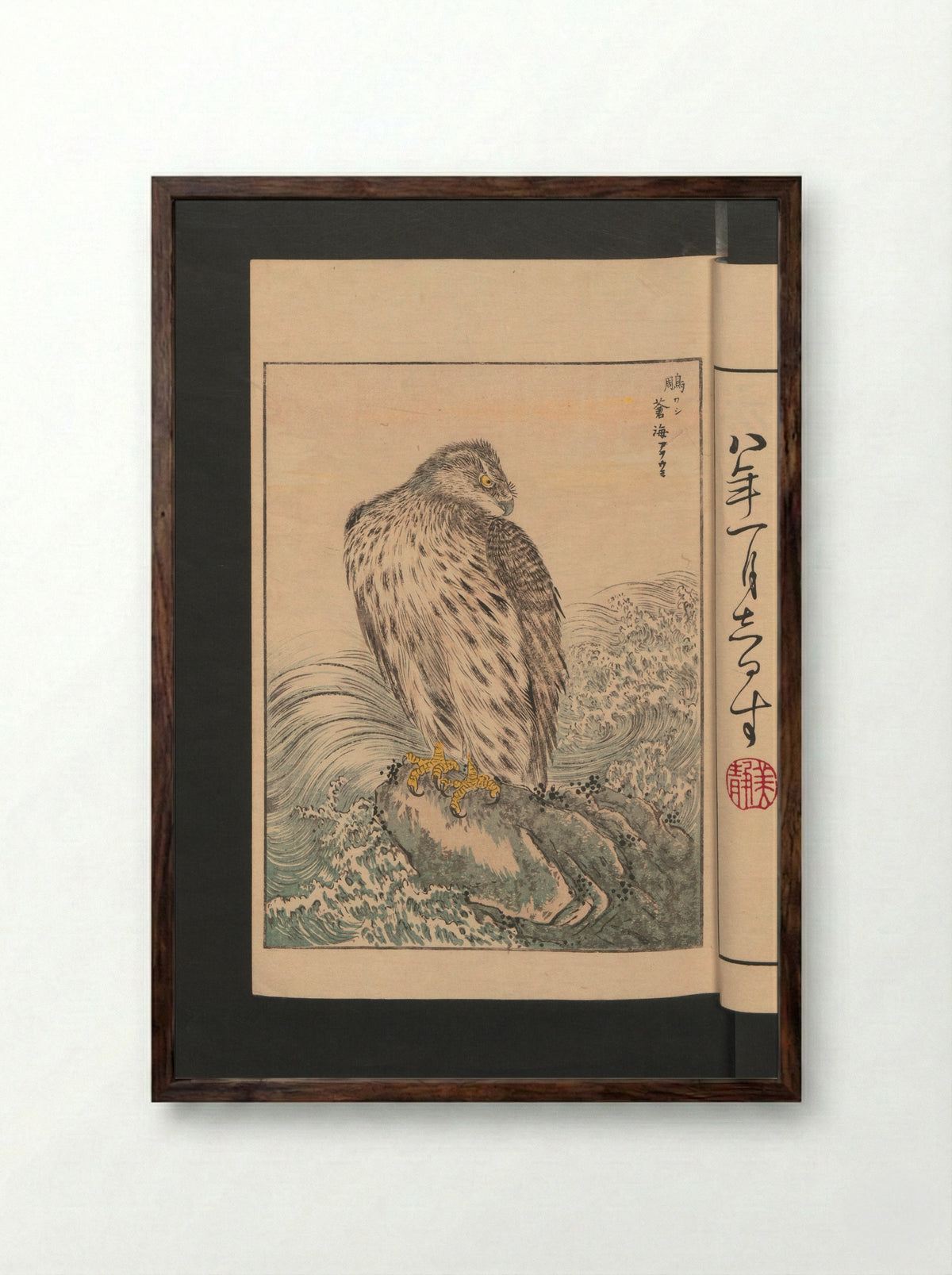 Picture Album of Various Birds (Shūchō gafu) - Numata Kashū - Framed Print Dark Wood