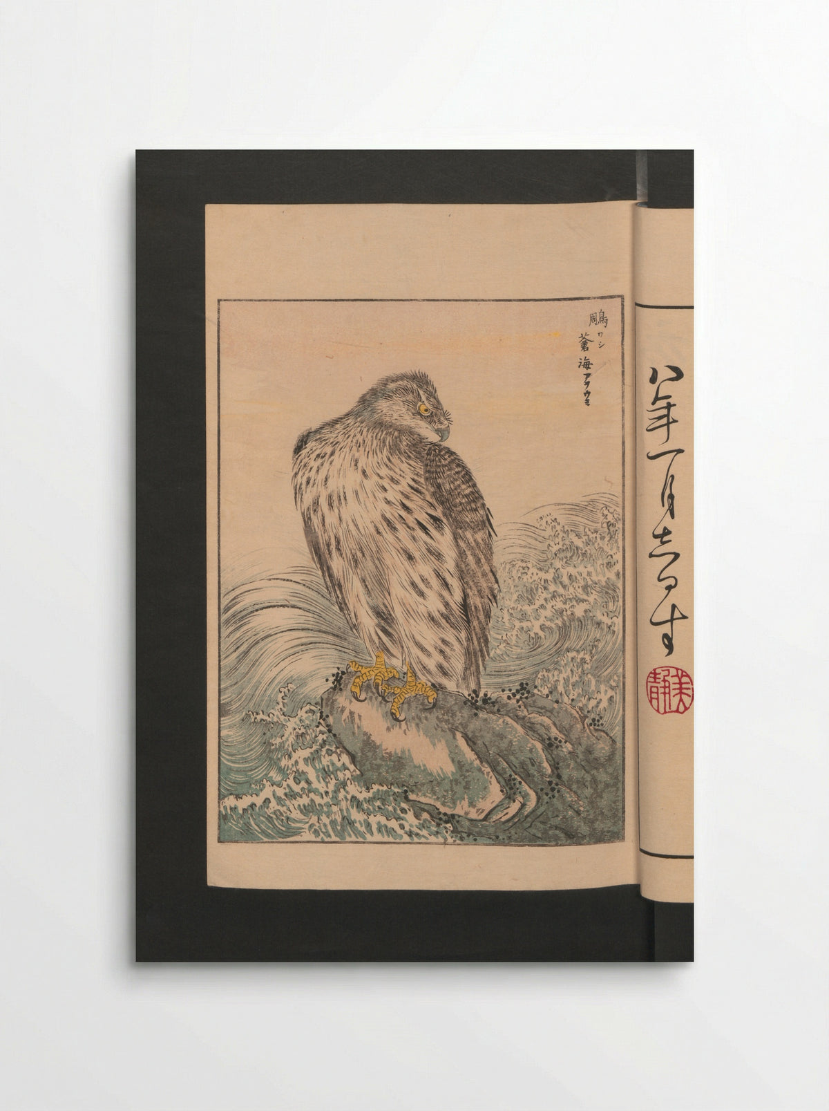 Picture Album of Various Birds (Shūchō gafu) - Numata Kashū - Poster